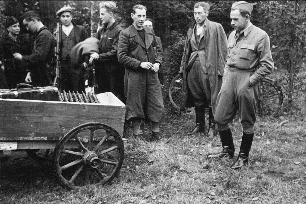 Polskie "Steny" z rejonów świętokrzyskich